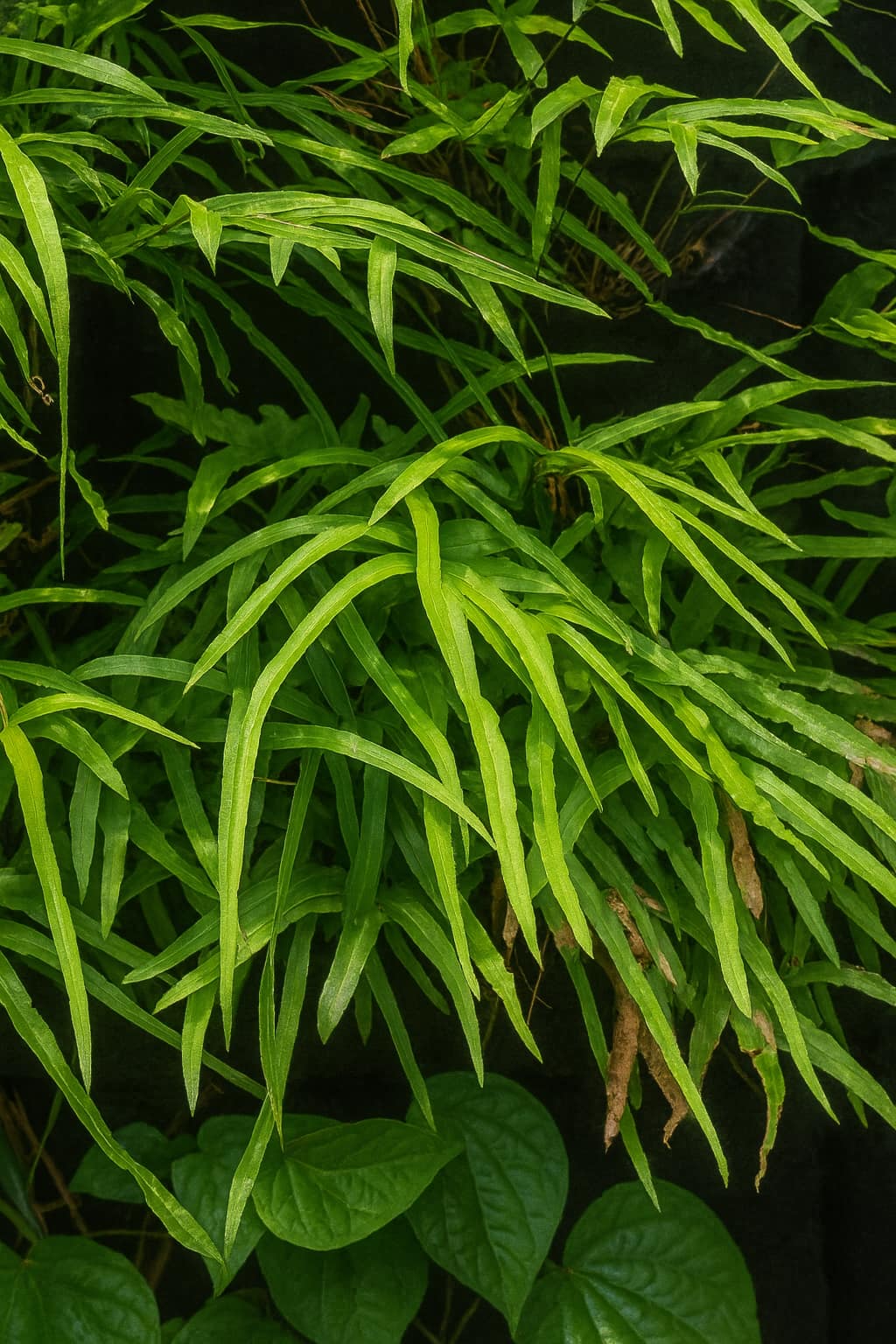 May Flowers Horticulture Installation 65